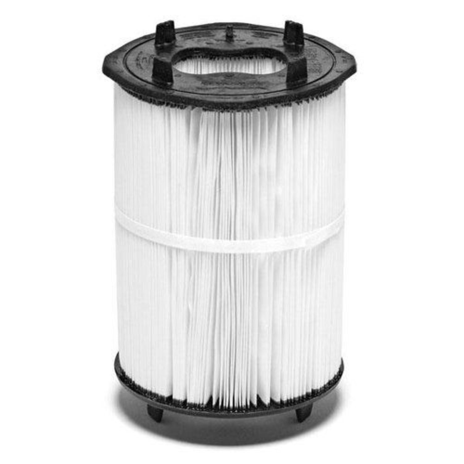 Pentair s/r cartridge 100 sq ft plm100 - 27002-0100s