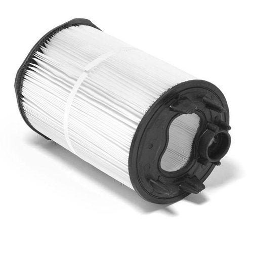 Pentair s/r cartridge 100 sq ft plm100 - 27002-0100s