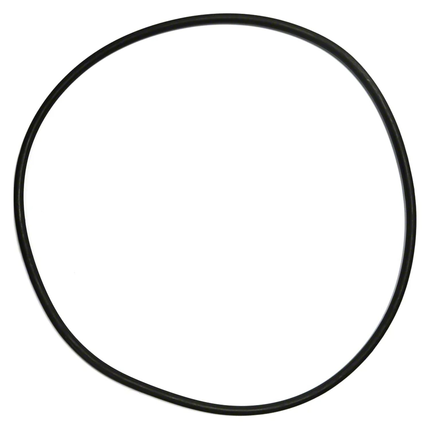 Pentair seal plate o-ring - 355619