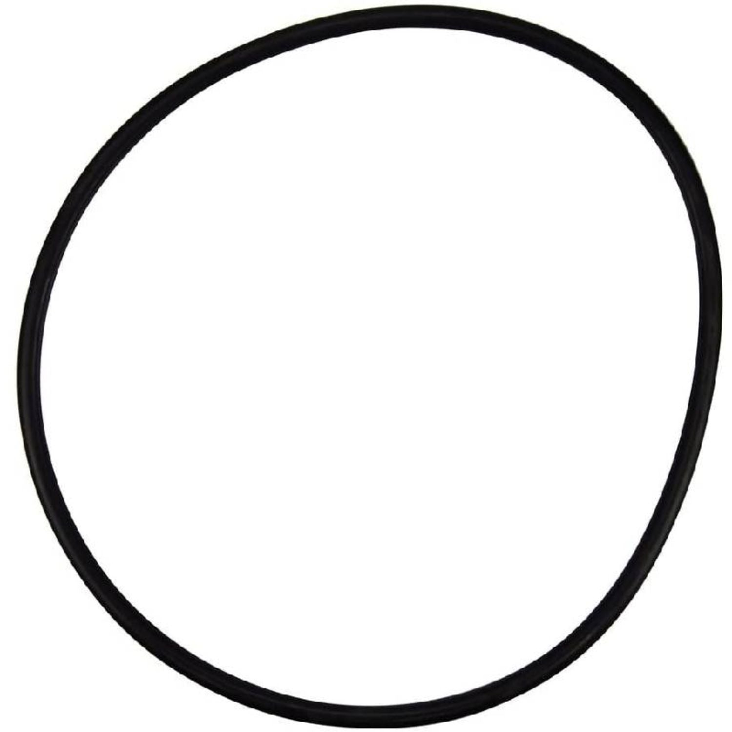 Pentair o-ring seal plate - 356780
