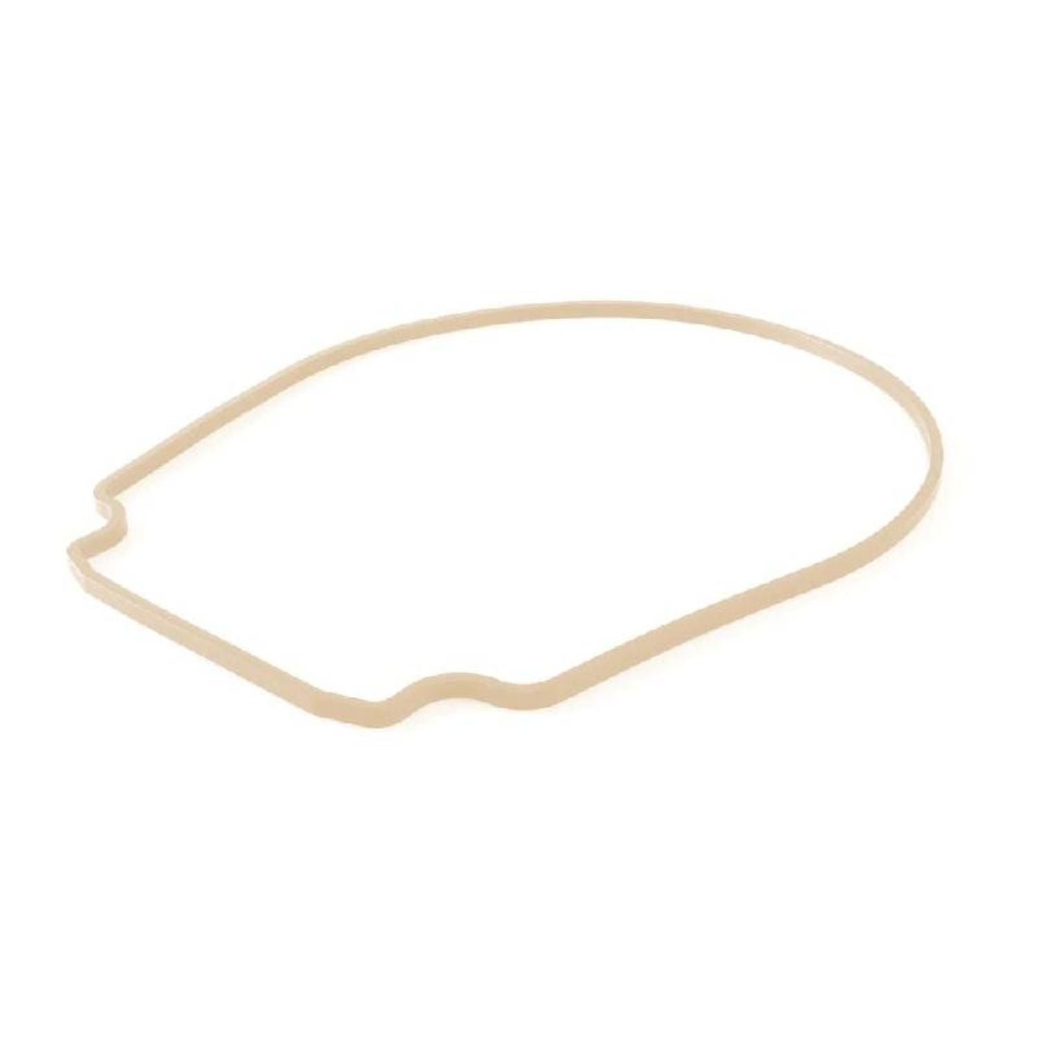 Pentair almond gasket for seal plate - 357102