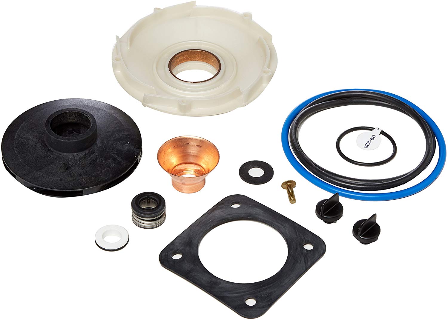 Pentair overhaul replacement kit starite - pp1017